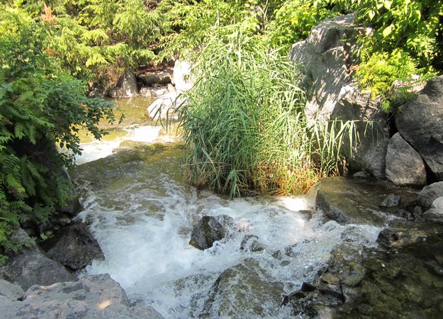 A Stream in Montreal 4